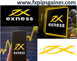 Understanding Exness Bitcoin Withdrawal A Comprehensive Guide