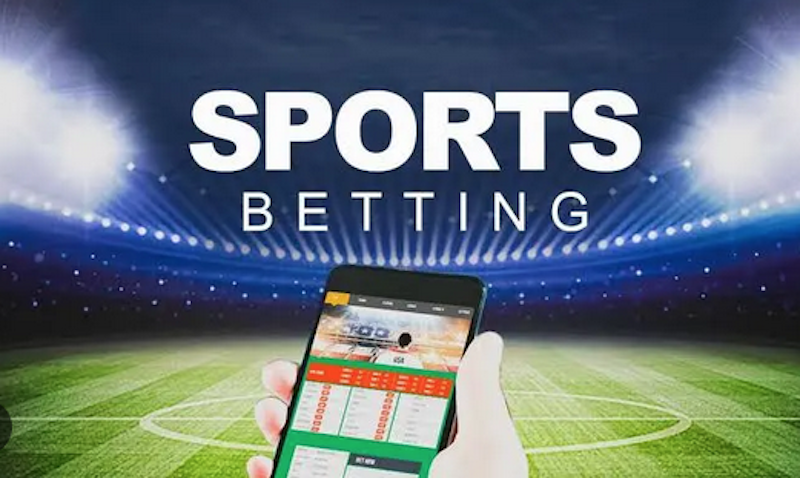 Betwinner  La Référence des Paris Sportifs en Ligne