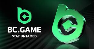 Maximize Your Gaming Experience with BC.Game Promo Codes and Bonuses